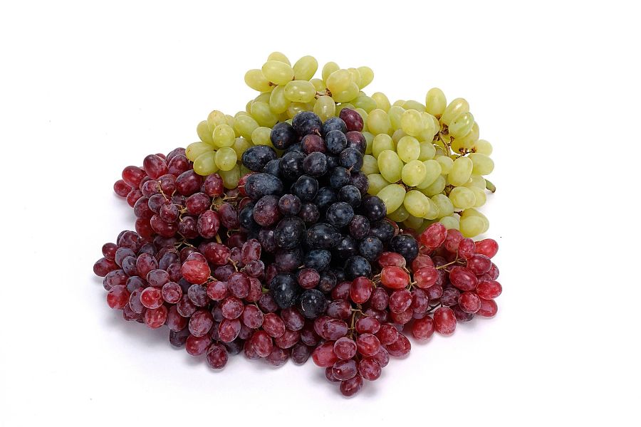 Turkish grape