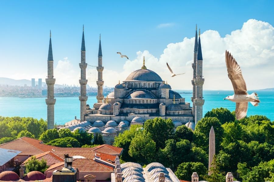 View of Istanbul's Blue Mosque with the sea in the background, highlighting the city's scenic coastline.