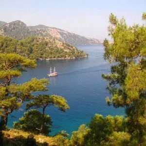A sailboat navigates through a calm blue bay surrounded by green forested hills under a clear sky.