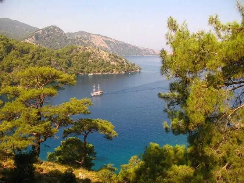 A sailboat navigates through a calm blue bay surrounded by green forested hills under a clear sky.