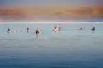 Tranquil waters of the Dead Sea in Jordan, serene landscape