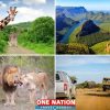 4 Days Kruger Park Big 5 Safari and Awesome Panorama Route Tour