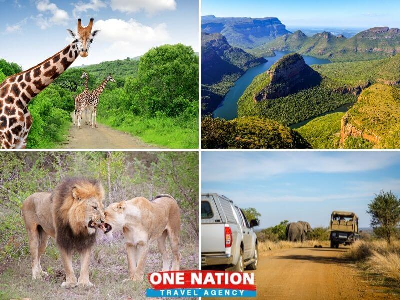 4 Days Kruger Park Big 5 Safari and Awesome Panorama Route Tour