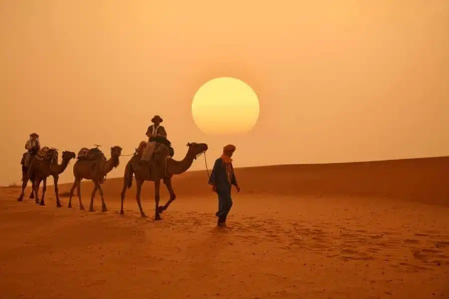 Vast Morocco desert landscape with golden dunes under a clear blue sky.