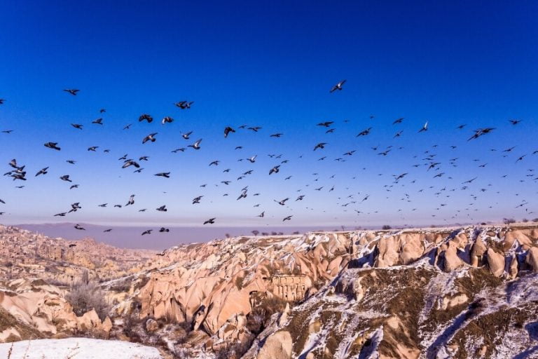 Pigeon Valley in Cappadocia