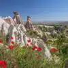 Cappadocia Spring