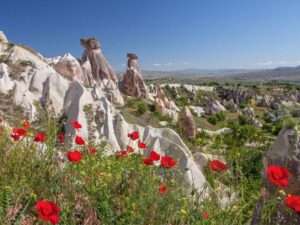 Cappadocia Spring
