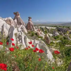 Cappadocia Spring