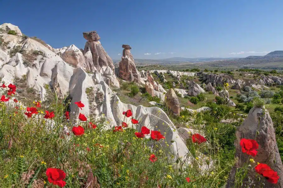 Cappadocia Spring