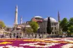a large building with domes and flowers with Hagia Sophia in the background