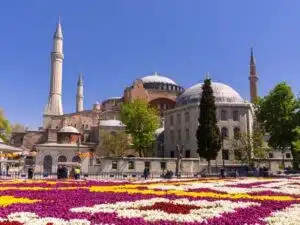 a large building with domes and flowers with Hagia Sophia in the background