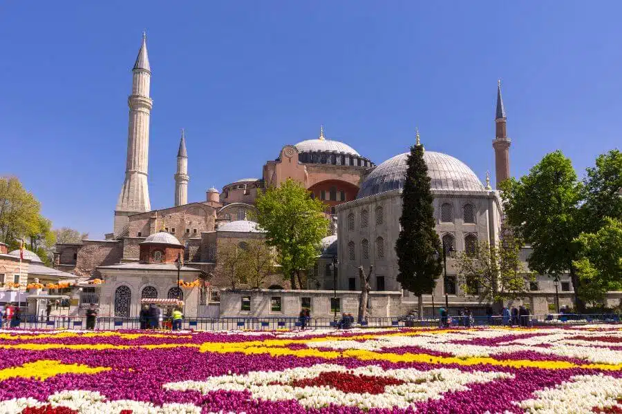 a large building with domes and flowers with Hagia Sophia in the background