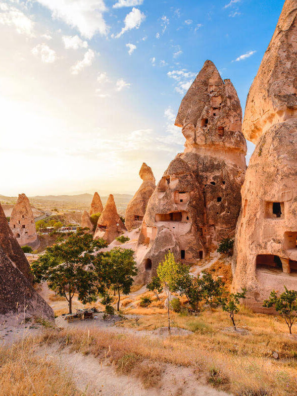 Sunlit fairy chimneys with carved cave dwellings surrounded by dry grass and trees in Cappadocia, Turkey.