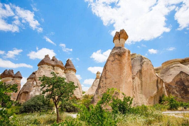 Iconic fairy chimneys with conical caps in Pasabag Valley, Cappadocia, surrounded by greenery under a bright blue sky.