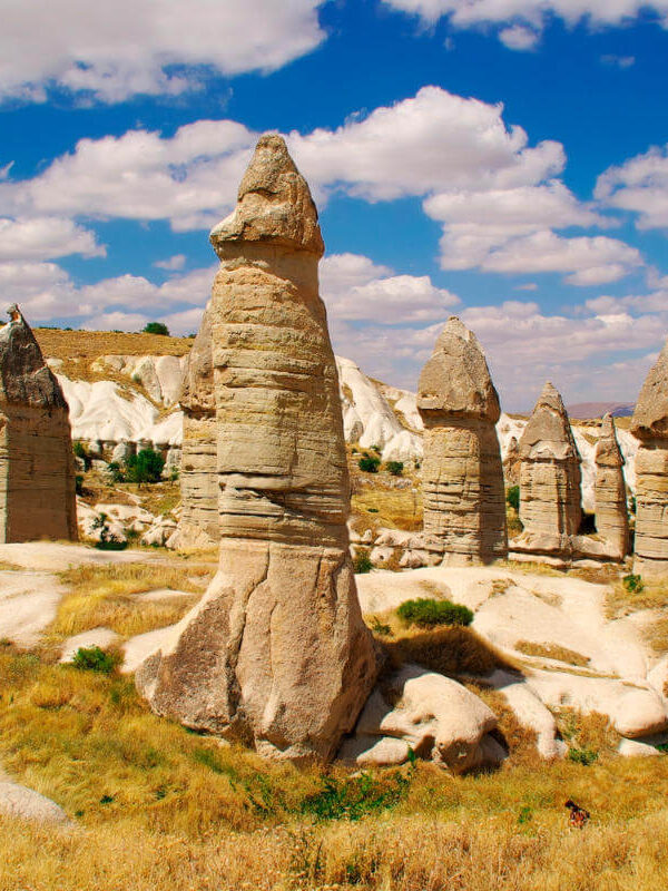 Tall, phallic-shaped fairy chimneys in Love Valley, Cappadocia, under a bright blue sky with scattered clouds.