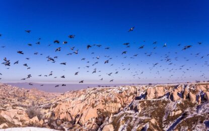 Turkey Weather in February: Winter Charm & Travel Insights