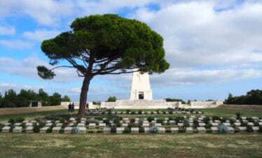 Lone Pine Cemetery and Memorial with a large pine tree and soldier graves in Gallipoli Peninsula, Çanakkale, Turkey.