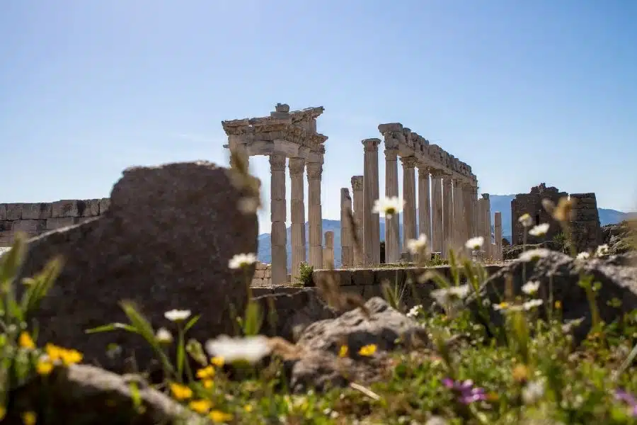 The ruins of the Zeus Altar in Pergamon, featuring stone columns against a clear blue sky, with wildflowers in the foreground.