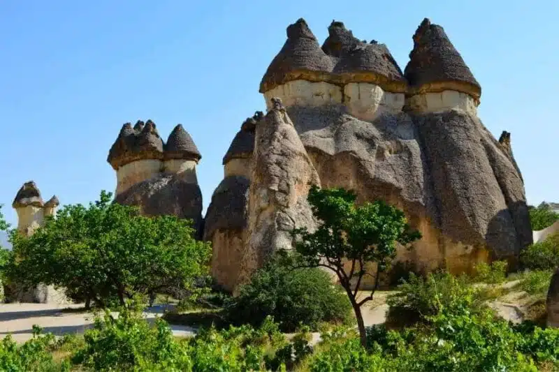 Iconic fairy chimneys in Cappadocia, Turkey, featuring unique cone-shaped rock formations surrounded by lush greenery.