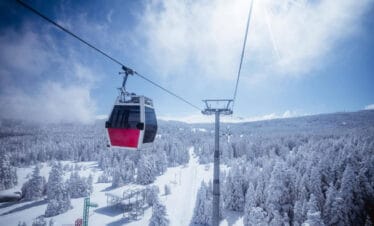 Gondola lift over snow-covered pine forest in Bursa Uludağ under a clear winter sky