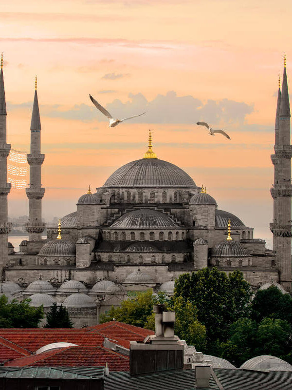 Majestic Blue Mosque with six minarets and seagulls flying above at sunset in Istanbul, Turkey.