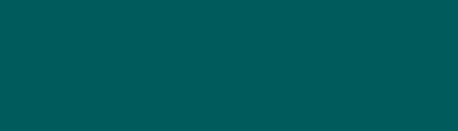 One Nation Travel Agency banner with solid teal background, ideal for branding, promotions, or web design elements.