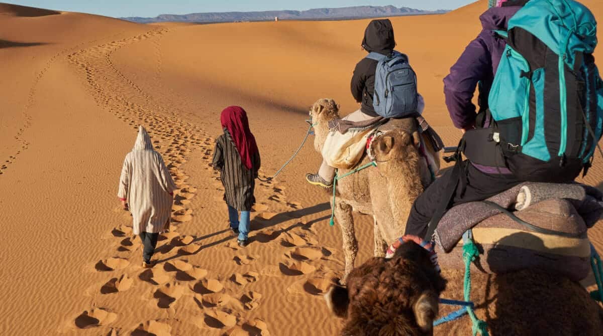 Camel trekking in the golden dunes of Merzouga Desert, Morocco with guides leading travelers through the Sahara.