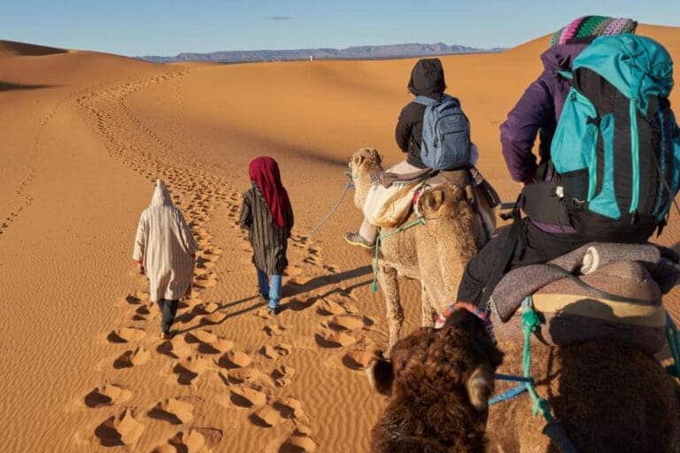 Camel trekking in the golden dunes of Merzouga Desert, Morocco with guides leading travelers through the Sahara.