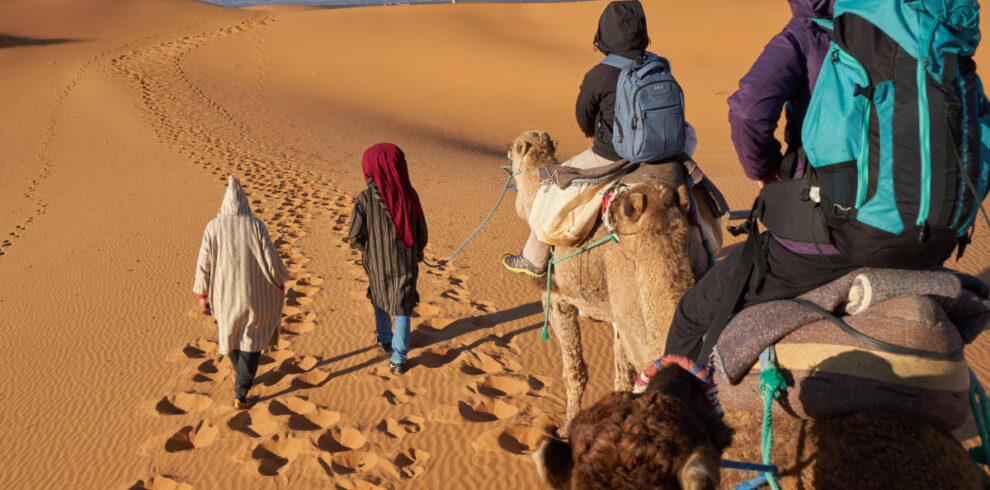 Camel trekking in the golden dunes of Merzouga Desert, Morocco with guides leading travelers through the Sahara.