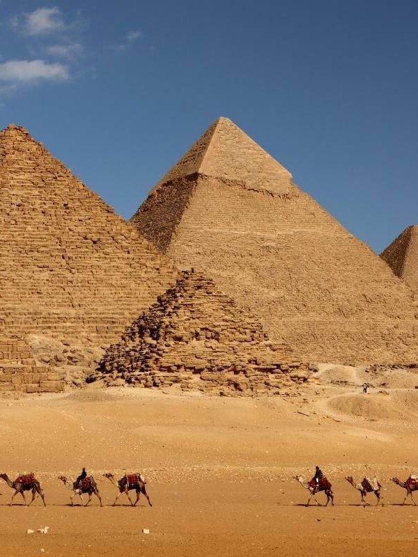 Camel caravan passing in front of Egypt's Giza pyramids under a clear blue sky in desert landscape.