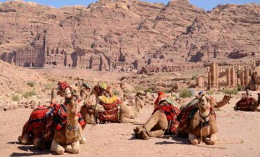 Camels with colorful saddles resting at Petra, Jordan, with ancient rock-cut tombs and sandstone cliffs in the background.