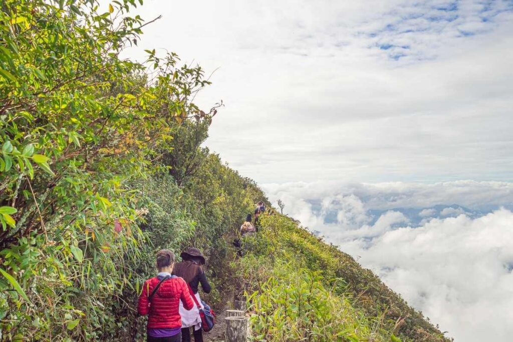 Hikers walking along lush green mountain trail above the clouds at Doi Inthanon, Chiang Mai, Thailand.