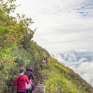 Hikers walking along lush green mountain trail above the clouds at Doi Inthanon, Chiang Mai, Thailand.