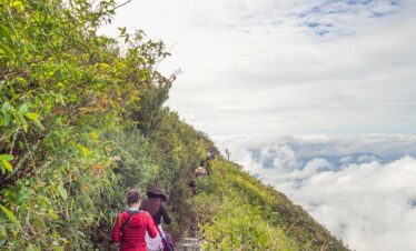 Hikers walking along lush green mountain trail above the clouds at Doi Inthanon, Chiang Mai, Thailand.