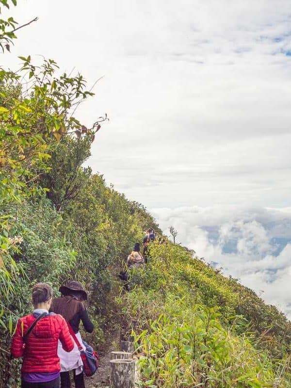Hikers walking along lush green mountain trail above the clouds at Doi Inthanon, Chiang Mai, Thailand.
