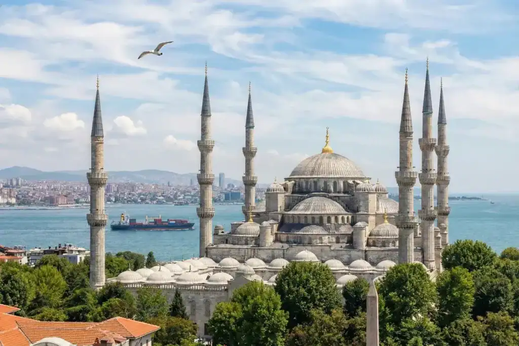 A detailed daytime photograph of the Blue Mosque (Sultanahmet Camii) in Istanbul under a partly cloudy sky. The mosque features six minarets and multiple domes. A single seagull flies in the upper left. In the background, a cargo ship sails on the blue Bosphorus Strait, with the distant Istanbul cityscape across the water. Green trees and rooftops fill the foreground.
