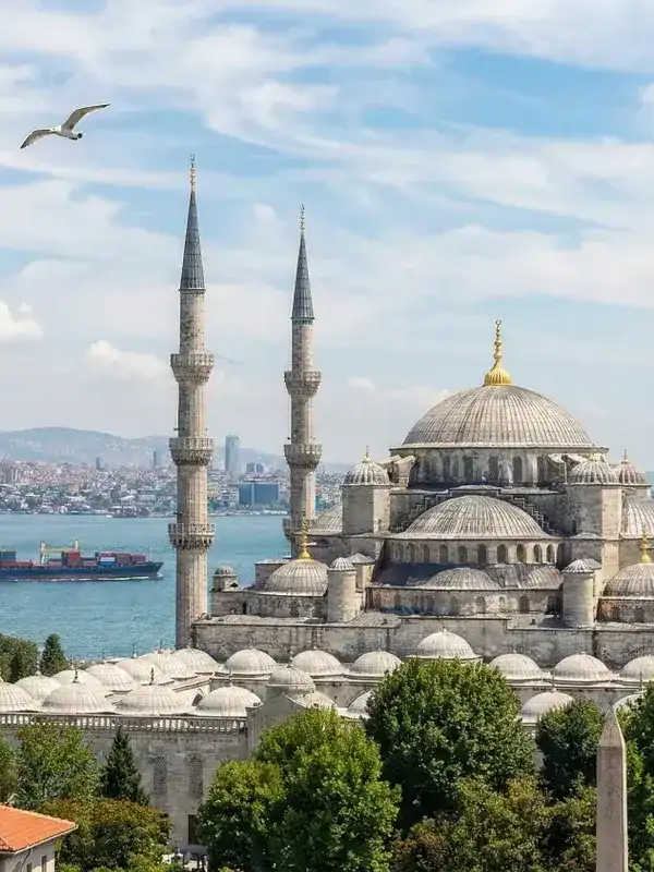 A detailed daytime photograph of the Blue Mosque (Sultanahmet Camii) in Istanbul under a partly cloudy sky. The mosque features six minarets and multiple domes. A single seagull flies in the upper left. In the background, a cargo ship sails on the blue Bosphorus Strait, with the distant Istanbul cityscape across the water. Green trees and rooftops fill the foreground.