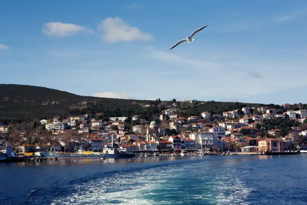 Prince Islands Istanbul coastal town with hillside homes, calm blue sea, and seagull flying above waterfront