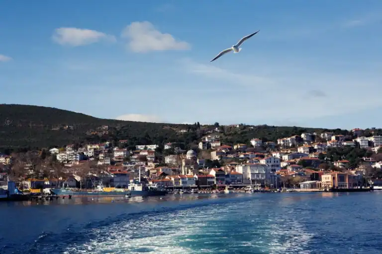 Kusadasi: Ultimate Travel Guide for First-Time Visitors 2 Prince Islands Istanbul coastal town with hillside homes, calm blue sea, and seagull flying above waterfront