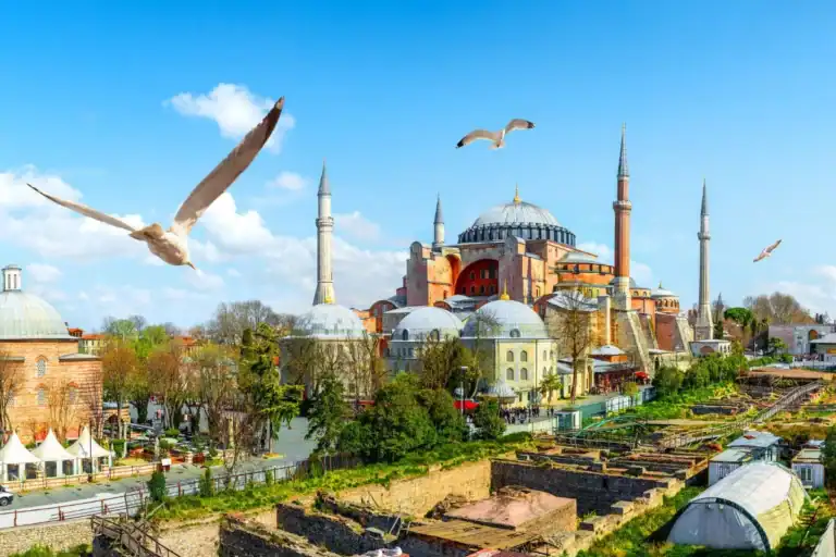 Hagia Sophia in Istanbul with domes, minarets, ancient ruins, and seagulls under a bright blue sky, historic landmark